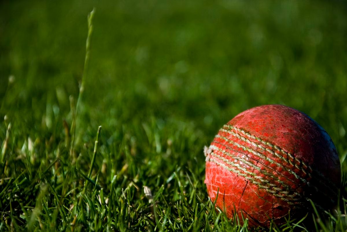 A cricket ball resting on grass